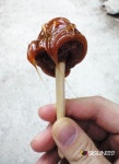[SN여행] 설악산에 가면 흔들바위까지는 가 봐야지! [강원인제]