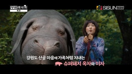 [무비레시피] 영화 옥자, 4년 만의 돌아온 봉준호와 틸다 스윈튼의 만남 [시선뉴스]