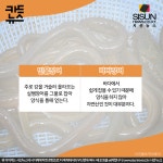 [카드뉴스] 민물장어와 바다장어의 차이점 [시선뉴스]