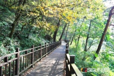[SN여행] 산책도 즐기고 조선시대 전통 정원을 그대로 느낄 수 있는 담양 소쇄원 [전남 담양]