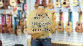 [힐링UP뮤직] 우쿨렐레 강세의 응용! 통통 튀는 셔플 리듬을 배우기 [시선뉴스]