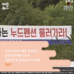 [카드뉴스] 누드펜션, 우리나라는 왜 시기상조일까? [시선뉴스]