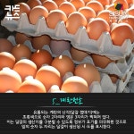 시사상식 노트7 [2017년 8월 셋째주_시선뉴스]