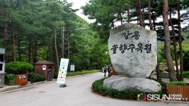 [SN여행] 태백산맥 맑은 물과 소나무 내음이 반기는 곳 강릉솔향수목원 [강원 강릉]