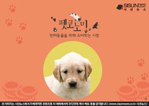 인생의 동반자 반려동물을 위해 소비하는 시장 펫코노미 [지식용어]
