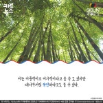 [카드뉴스] 동남아시아 국가 중 유일하게 식민 지배를 받지 않은 태국