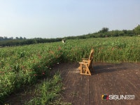 [SN여행] 드넓은 자연을 즐길 수 있는 아그로랜드 태신목장 [충남 당진]