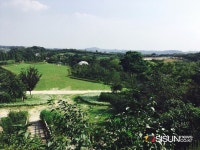 [SN여행] 드넓은 자연을 즐길 수 있는 아그로랜드 태신목장 [충남 당진]