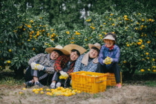 부모님의 청춘을 이어가는 세 청년 농부 꿀라봉 친구들