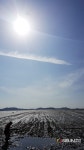 [SN여행] 세계 5대 갯벌에서의 특별한 경험, 강화도 동막해수욕장 [강화 화도면]