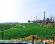 [SN여행] 아득히 보이는 지평선이 아름다운, 학원농장 [전북 고창]