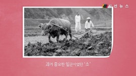 [지식의 창] 콧수건부터 대청소까지, 그때 그 시절의 봄 / 김병용 기자