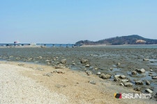 [SN여행] 바닷길이 열리면 들어갈 수 있는 목섬 [인천 옹진군]