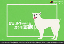 짧은 꼬리가 매력적인 우리나라 토종개, 경주개 동경이 [지식용어]