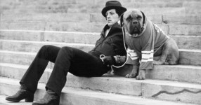 [시선★피플] 알고 보면 훌륭한 각본가, 원조 근육질 배우 