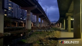[SN여행] 도림천 산책로, 빌딩숲 디지털 공해로부터의 피신처 [서울시 구로]