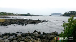 [SN여행] 제주도의 신비한 섬, 바다가 갈라지는 서건도 [제주 서귀포시]