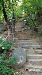 [SN여행] 양녕대군이 올라 국사를 걱정했던 산 국사봉 [서울 동작구]