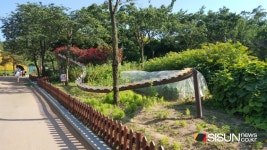 [SN여행] 도심 속 나비를 만날 수 있는 곳 부평숲 나비공원 [인천시 부평구]