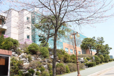 웅지세무대학교, 공인회계사 배출 순위 19위