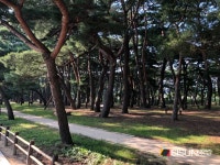 [SN여행] 영남 알프스 하동의 섬진강을 따라서 [경남 하동]