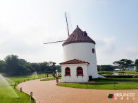 [SN여행] 곶자왈의 아름다운 풍경을 만나보는 곳 에코랜드 [제주 제주시]