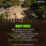 [카드뉴스] 인간과 동물의 공존을 위한 세계의 동물원