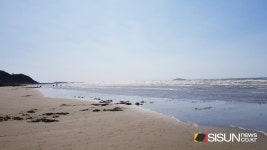 [SN여행] 바다-숲-들이 아름다운 밧개해수욕장... 손맛은 덤? [충남 태안]