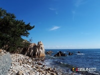 [SN여행] 동해의 맑은 바다를 한눈에 감포 바다 [경북 경주]