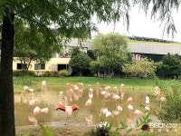 [SN여행] 다양한 나라의 정원을 볼 수 있는 순천만국가정원 [전남 순천]