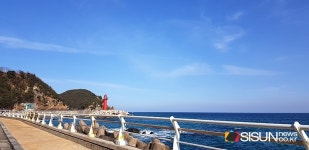 [SN여행] 바다 위를 달리는 듯! 최고의 드라이브 코스 강릉 헌화로 [강원도 강릉] 