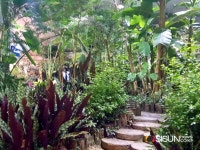 [SN여행] 예쁜 동화 같은 그곳, 대전 근교에 위치한 하늘 물빛 정원 [충남 금산군]