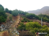 [SN여행] 문경에도 도깨비도로가 있다? 문경대학교 [경북 문경]
