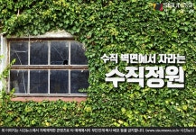 도심 속의 기특한 존재 수직정원 특징과 이점은? [지식용어]