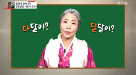 우리말 겨루기 다달이가 정확해...달달이 잘못된 표현