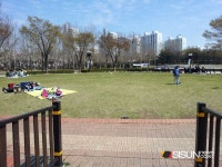 [SN여행] 토요일이면 알뜰 나눔장터가 열리는 평촌 중앙공원 [안양 동안]