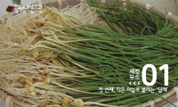 [세컷뉴스] 봄 향기 물씬, 춘곤증 이겨낼 수 있는 봄나물은?