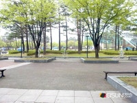 [SN여행] 축구 경기도 보고, 산책도 하고! 수원월드컵경기장 중앙광장 [수원 팔달]