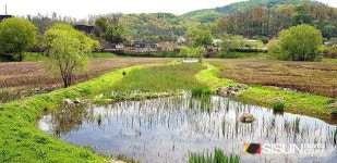 [SN여행] 자연과 함께하는 도심 속 힐링 장소 안터생태공원 [경기 광명]