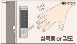 신림동 강간미수...주거침입으로 끝? [시선만평]