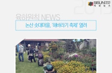 논산 솟대마을, 해바라기 축제 열려[육하원칙 NEWS]