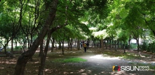 [SN여행] 멀리 가지 않아도 괜찮아, 서울 서초문화예술공원 [서울 서초]