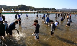 양양연어축제 24일 개막 및 울산 선암호수가요제 26일 개최 [팔도소식/축제]