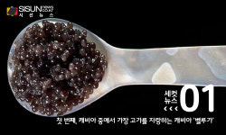 주시회사 캐비아 | [세컷뉴스] 세계 3대 진미로 꼽히는 캐비아, 등급으로 분류가 된다고?