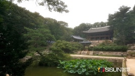 [SN여행] 서울 한복판의 숨겨진 정원, 창덕궁 후원 [서울 종로]