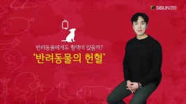 반려동물에게도 혈액형이 있다? 평소 잘 몰랐던 반려동물의 헌혈 [애니멀TV]