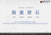 [오늘의 사자성어] 우수천석[雨垂穿石]