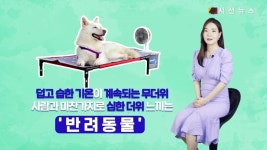 [애니멀TV] 여름철 반려동물의 지독한 냄새...관리 꿀팁!