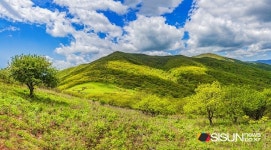 [SN여행] 사계절 야생화가 피고 지는 천상의 화원 곰배령 [강원 인제]