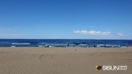 [SN여행] 앞에는 해변, 뒤에는 소나무 숲! 편의시설이 잘 갖춰진 삼척 해수욕장 [강원 삼척]